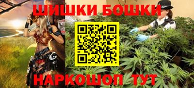 шишки Славгород