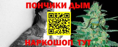 шишки Славгород