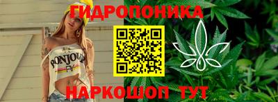 шишки Славгород
