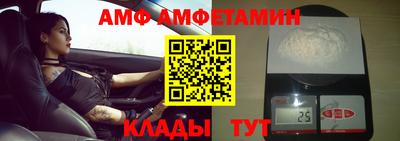 шишки Славгород